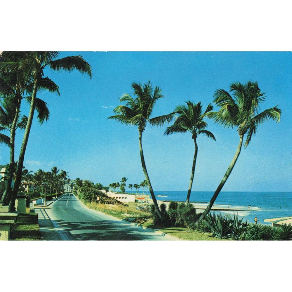 Palm Beach Florida Ocean Blvd Beach View Vintage Postcard S-1 D&M Post Cards - Picture 1 of 2